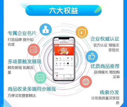 深耕技術(shù)推廣，助力泉城企業(yè)——濟南鴻利達(dá)信息科技，愛采購?fù)茝V的可靠之選