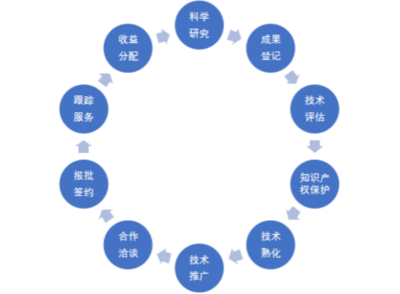 技術(shù)轉(zhuǎn)移與技術(shù)推廣服務(wù)的融合發(fā)展 驅(qū)動(dòng)創(chuàng)新與產(chǎn)業(yè)升級(jí)的雙引擎